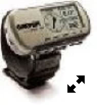 Garmin Foretrex 101